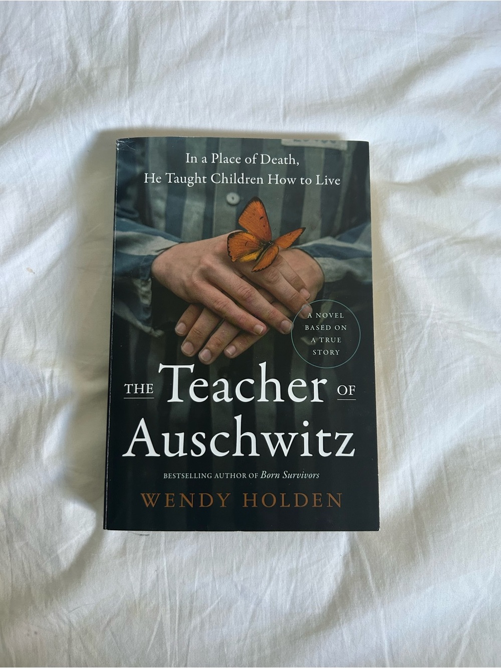 3/25$ The teacher of Auschwitz book by Wendy Holden